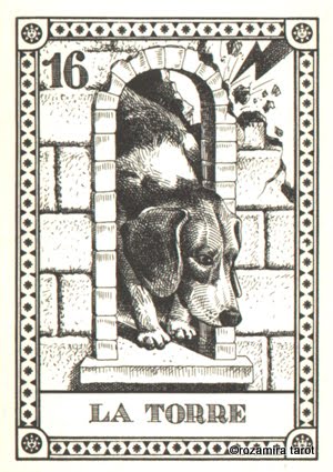 22 Arcani i Cani del Mondo